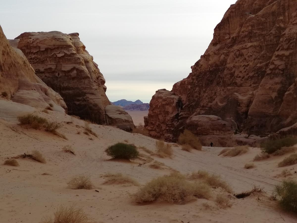 Heart Rum Camp Wadi Rum Exterior foto